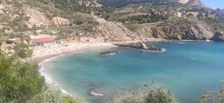 Appartement Proche Plage Avec Piscine En Centre Ville Torrevieja Dış mekan fotoğraf