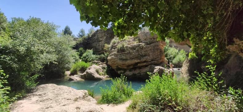 Appartement Proche Plage Avec Piscine En Centre Ville Torrevieja Dış mekan fotoğraf